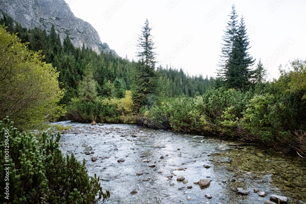 Hincov creek in High Tatras, Slovakia, autumn scene Hincov creek in High Tatras, Slovakia, autumn scene