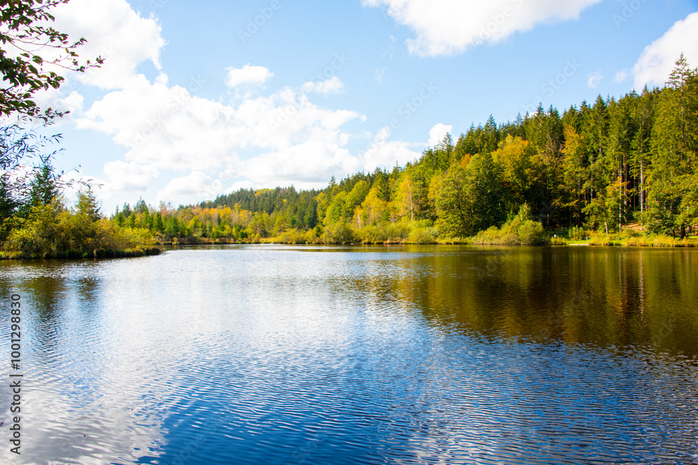 Fototapeta premium Reflections on a Wilderness Lake