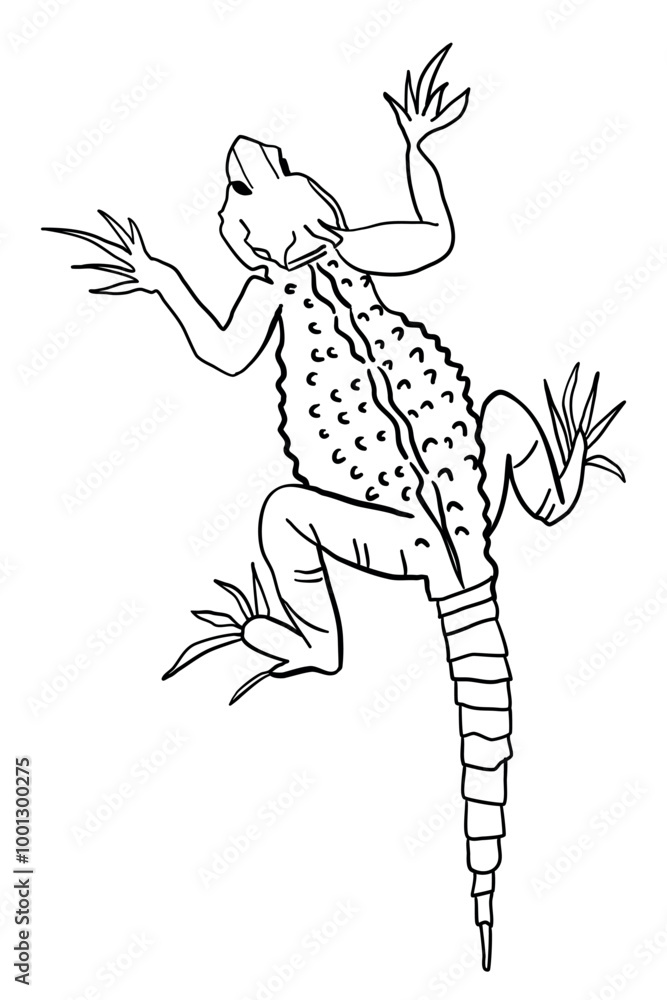 Fototapeta premium Black Contour Lizard, Gecko Clipart. Vector Illustration Isolated on White