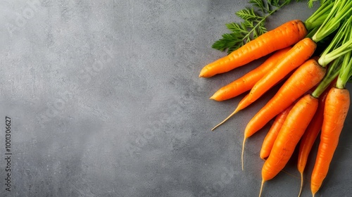 Fresh organic carrots with green tops on grey background. photo