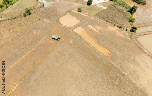 Flash flood destroys corn and vegetable crop in Southeast asia. photo