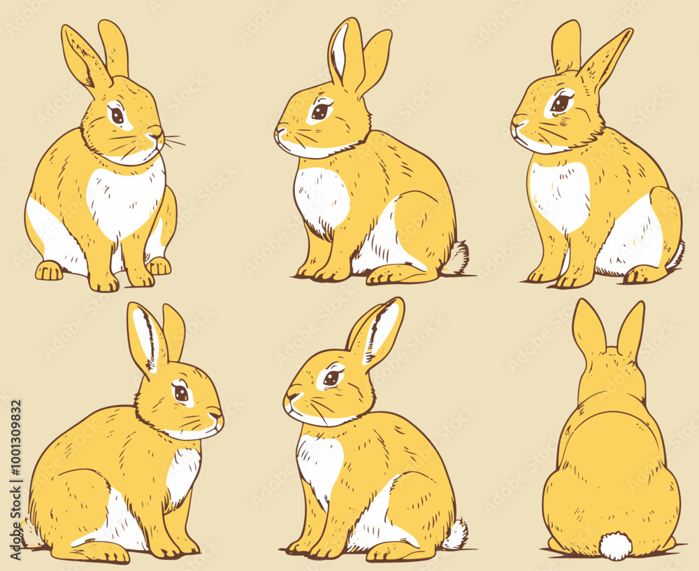 A cute simple rabbit with different angles. Nursery illustration. A cute simple rabbit with different angles. Nursery illustration.