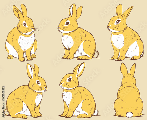 A cute simple rabbit with different angles. Nursery illustration.