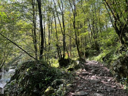 Hiking trails and markings in the canyon of the Kozjak stream, Kobarid (Slovenia) - Wanderwege in der Schlucht des Kozjak-Baches (Slowenien) - Pohodne poti v kanjonu potoka Kozjak, Kobarid (Slovenija) photo