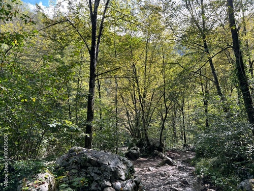 Hiking trails and markings in the canyon of the Kozjak stream, Kobarid (Slovenia) - Wanderwege in der Schlucht des Kozjak-Baches (Slowenien) - Pohodne poti v kanjonu potoka Kozjak, Kobarid (Slovenija) photo