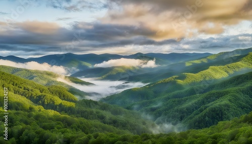 serene nature landscape of Maggie Valley showcasing lush greenery and stunning mountain views in North Carolina