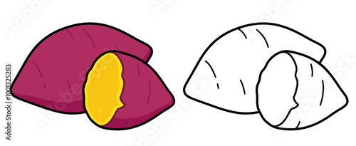 Sweet potato illustration