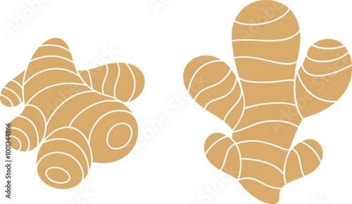 Ginger logo. Isolated ginger on white background