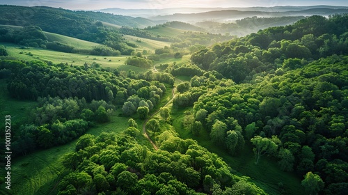 Sprawling forest with winding trails clearings and distant view of a river