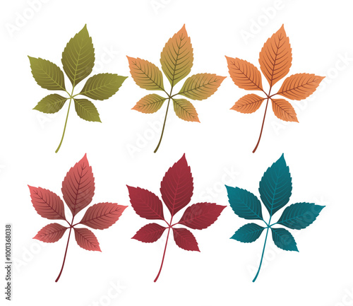 Set of autumn leaves from different color. Simple green, yellow, red, orange fall leaf set for pattern, banner, sticker, and autumn card. Flat vector illustration isolated on white background