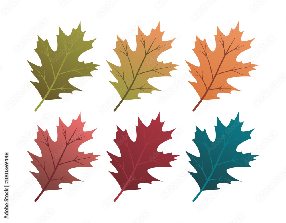 Fototapeta premium Set of autumn leaves from different color. Simple green, yellow, red, orange fall leaf set for pattern, banner, sticker, and autumn card. Flat vector illustration isolated on white background