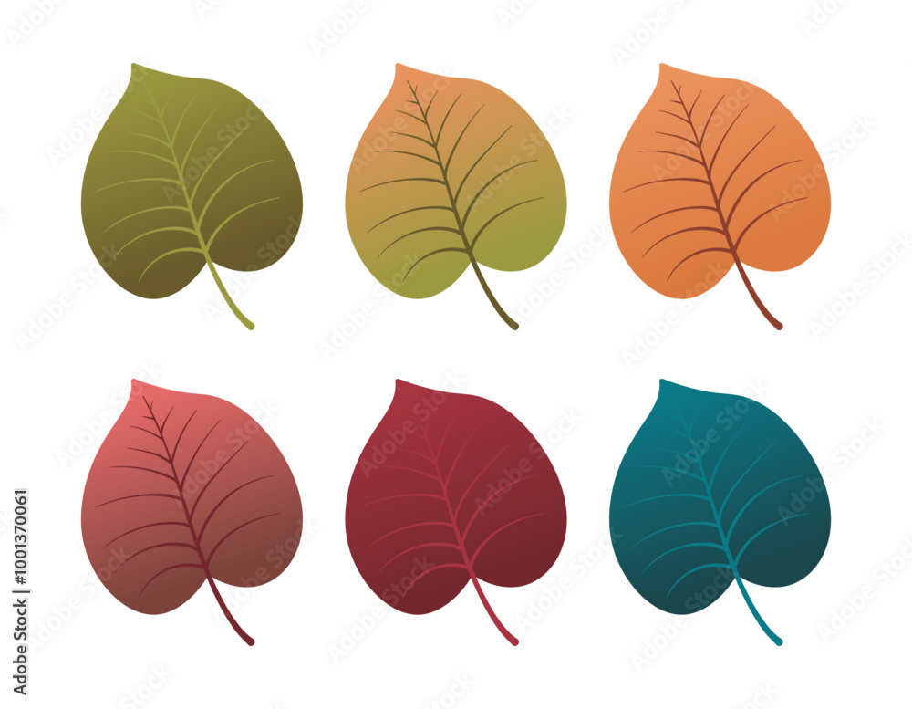 Set of autumn leaves from different color. Simple green, yellow, red, orange fall leaf set for pattern, banner, sticker, and autumn card. Flat vector illustration isolated on white background Set of autumn leaves from different color. Simple green, yellow, red, orange fall leaf set for pattern, banner, sticker, and autumn card. Flat vector illustration isolated on white background