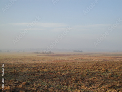 misty morning in the field