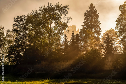 Fototapeta Naklejka Na Ścianę i Meble -  Poranek - wschód