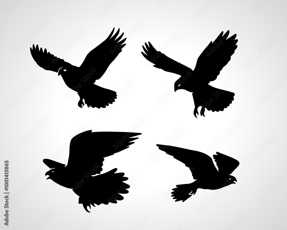 Fototapeta premium Falcon Silhouette Vectors and Illustrations