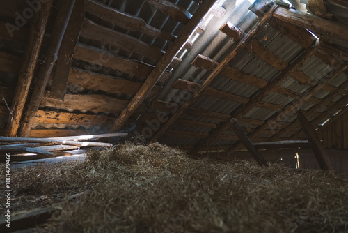 The hayloft in the barn. Sunlight breaks through the leaky roof. Village vibe