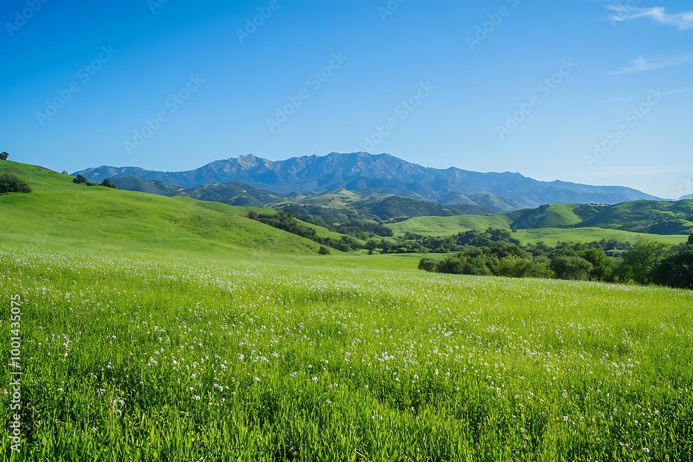 green field and blue sky green field and blue sky