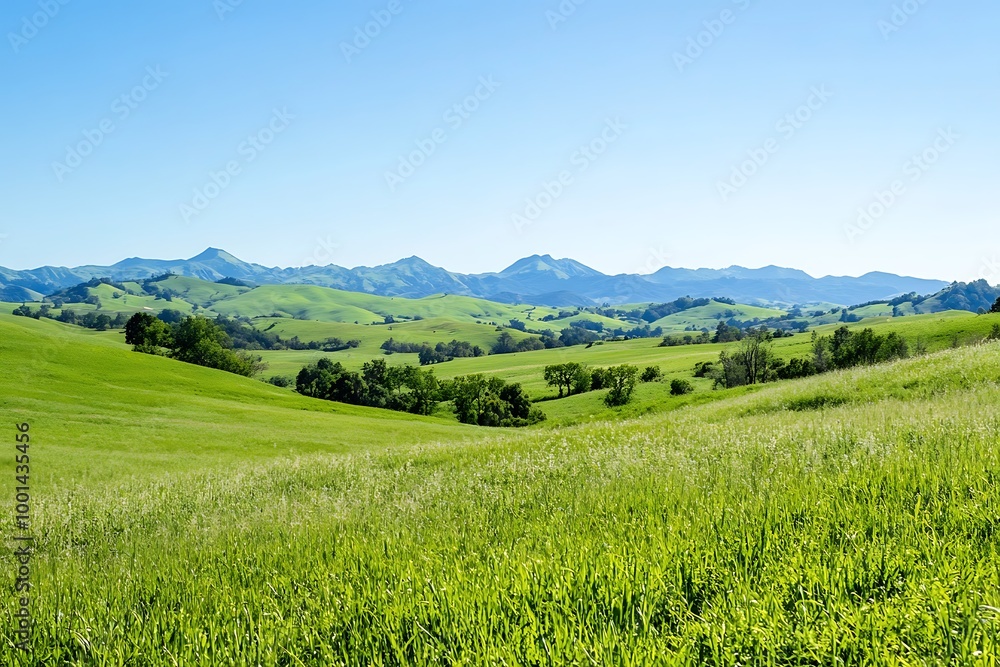 field and blue sky field and blue sky