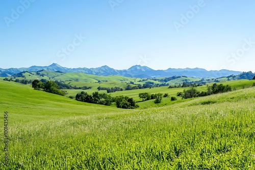 field and blue sky