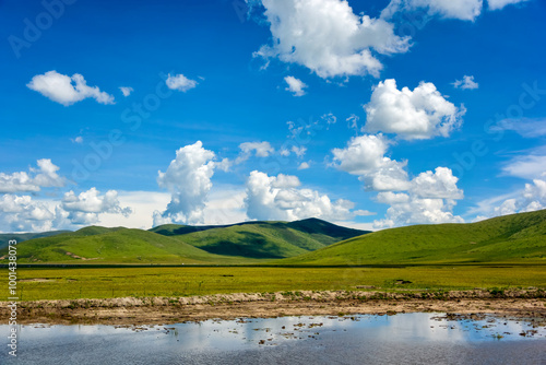 Plateau grassland scenery under blue sky and white clouds