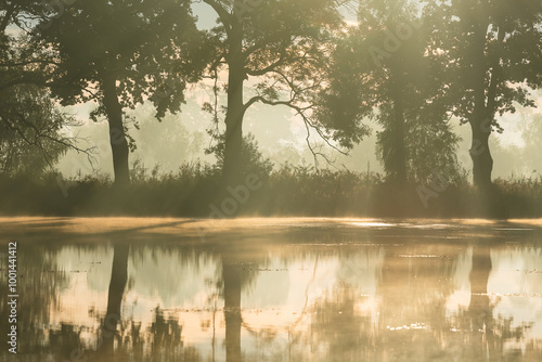 Piękny jesienny wschód słońca nad stawami, Polska, Czechowice Dziedzice  photo