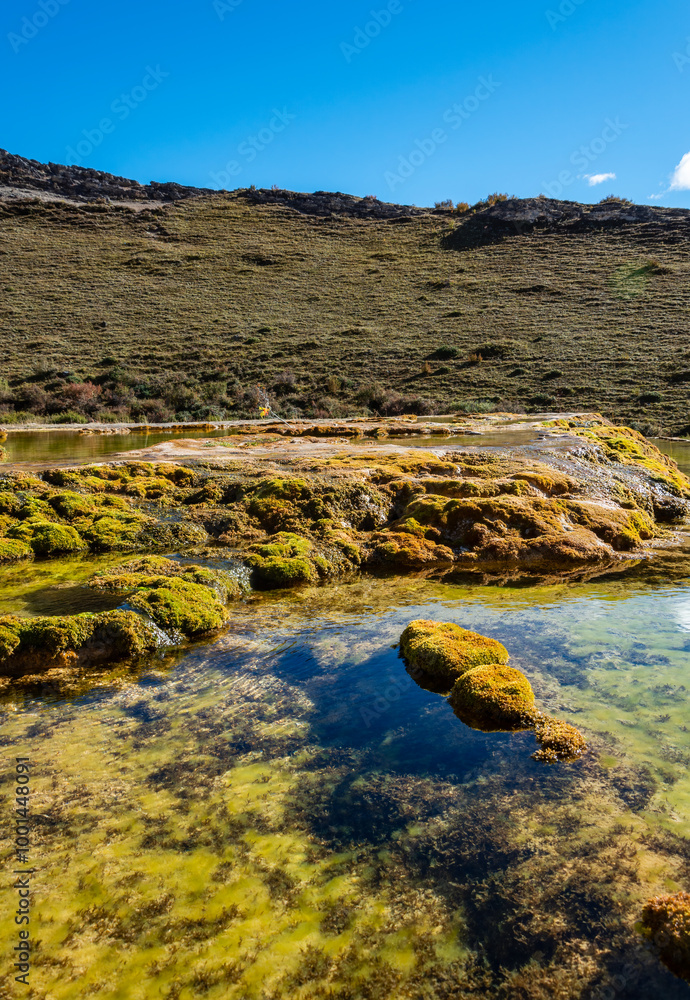 Alpine valley meadow landscape in the eastern Qinghai-Tibet Plateau Alpine valley meadow landscape in the eastern Qinghai-Tibet Plateau