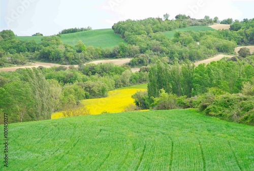 Different colors and shades of farmland
