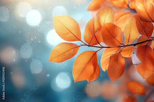 A leafy branch with a blue sky background