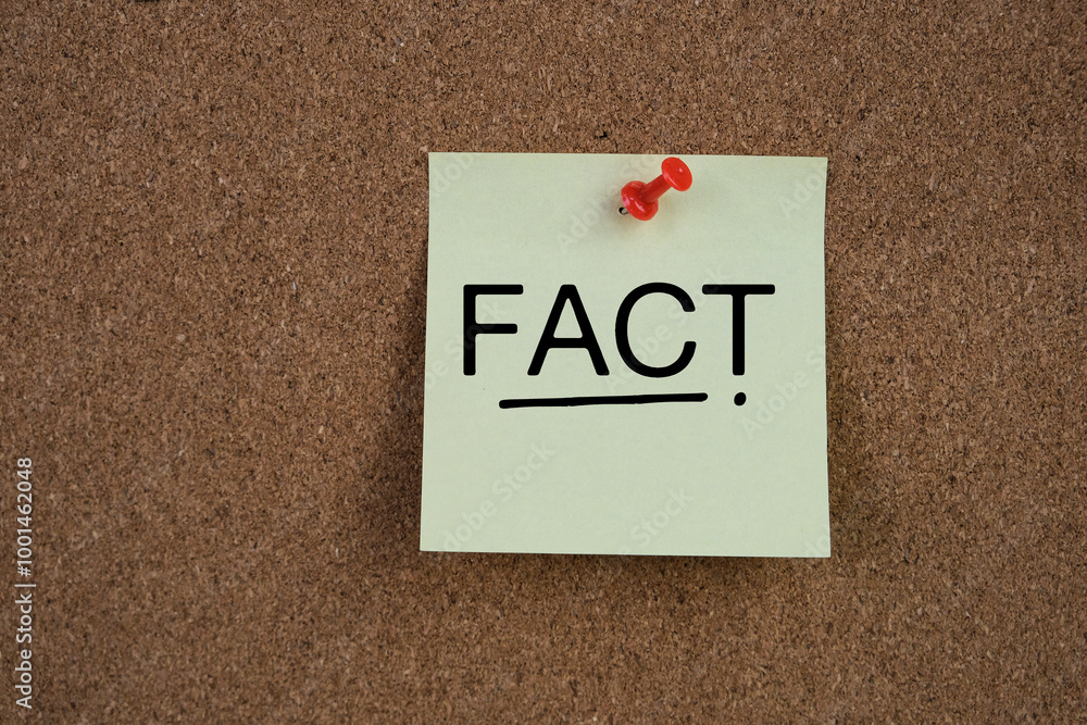 The word FACT as a management and business concept. The word FACT as a management and business concept.