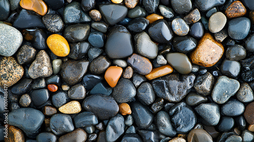 Wallpaper Mural Close-up of Wet Pebbles Torontodigital.ca