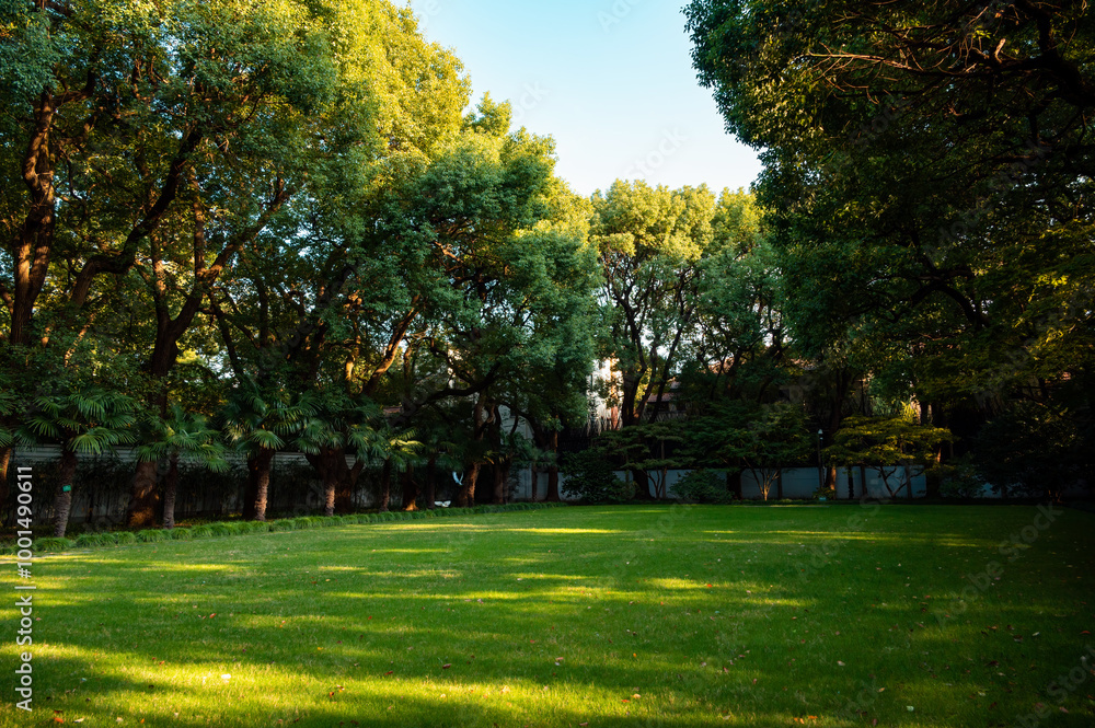 The grass in the park is surrounded by dappled light and shadow. The grass in the park is surrounded by dappled light and shadow.