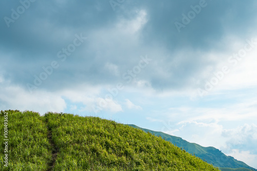 Green mountain slopes in summer