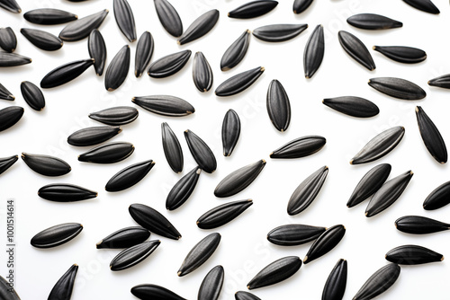 Sunflower seeds Flying in the air for design Background 