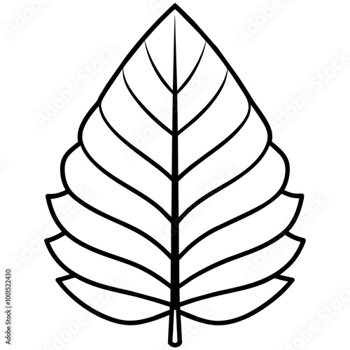 black and white leaf