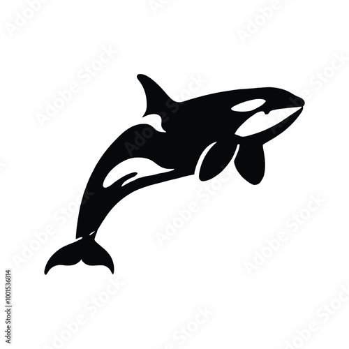Killer Whale Silhouette