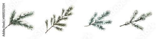 Frozen Foliage