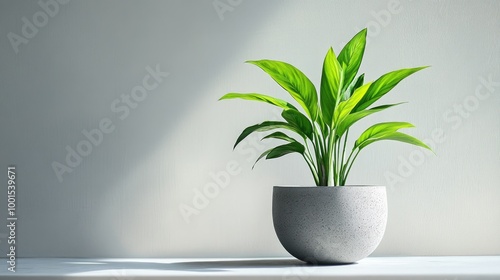 A vibrant green plant in a sleek grey flowerpot against a clean, bright background, illustrating modern design