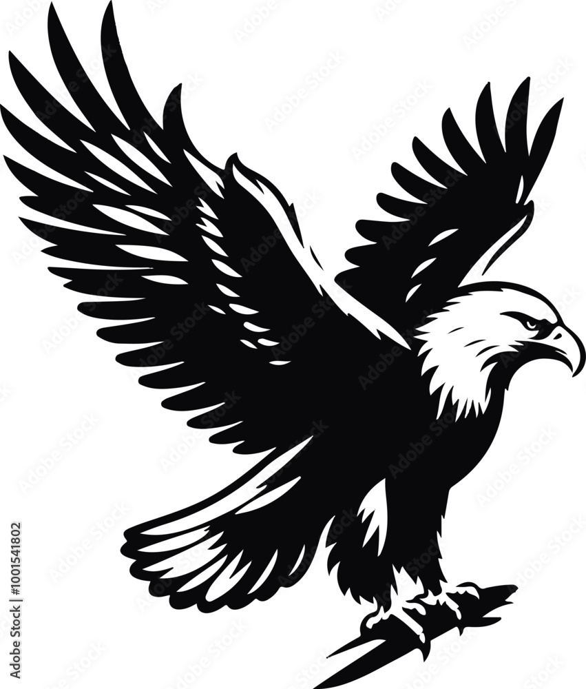 Obraz premium Eagle Silhouette