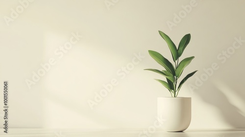 A single green plant in a minimalist white flowerpot on a clean, soft-toned background, showcasing elegance and freshness