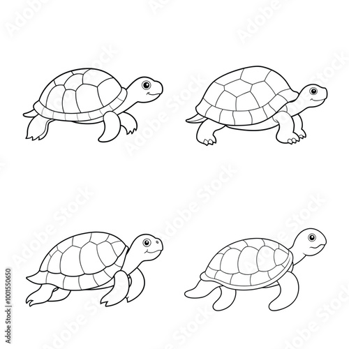4 turtle vector illustration line art