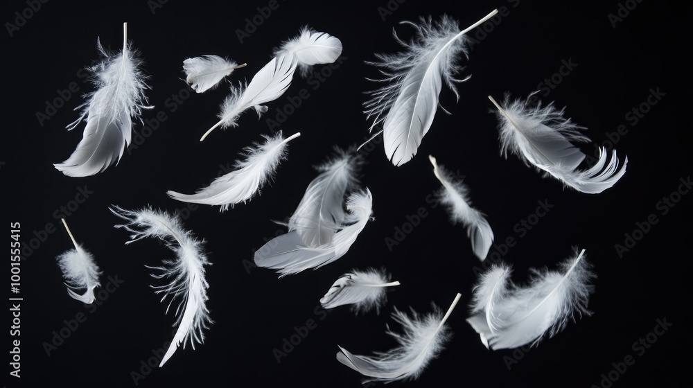 Obraz premium Cluster of white feathers gracefully drifting in mid-air with a pitch-black backdrop, highlighting their elegance