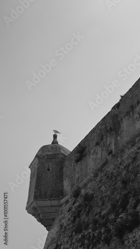 Portugal, an entire country that is a marvel, with Lisbon as its capital leading the way