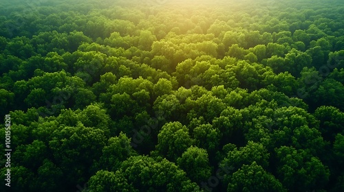 Green natural forest aerial view Environment concept : Generative AI