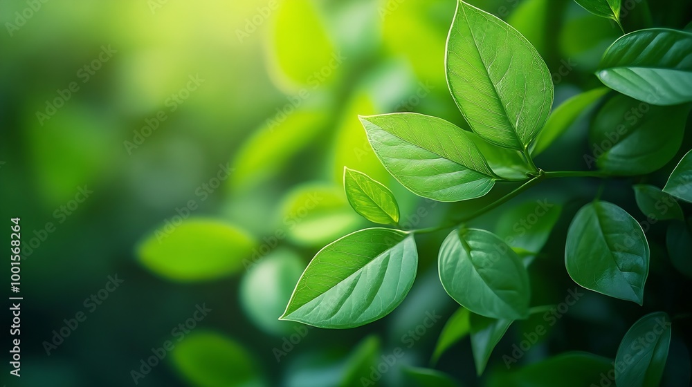 Nature of green leaf in garden at summer Natural green leaves plants using as spring background cover page greenery environment ecology wallpaper : Generative AI Nature of green leaf in garden at summer Natural green leaves plants using as spring background cover page greenery environment ecology wallpaper : Generative AI