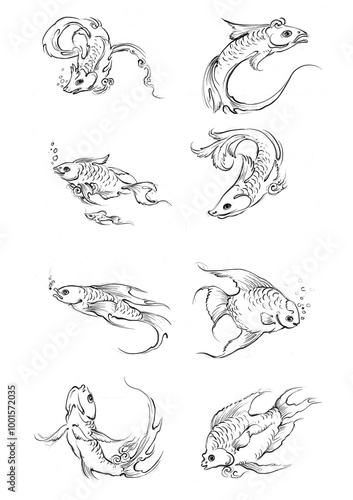 fish in continuous line art drawing style. Minimalist black linear sketch on white background. Vector illustration