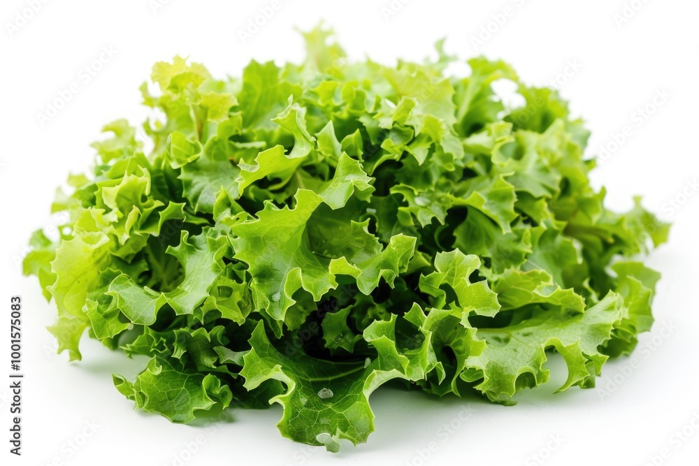 A fresh head of lettuce sits on a clean white surface, ready for use or display A fresh head of lettuce sits on a clean white surface, ready for use or display