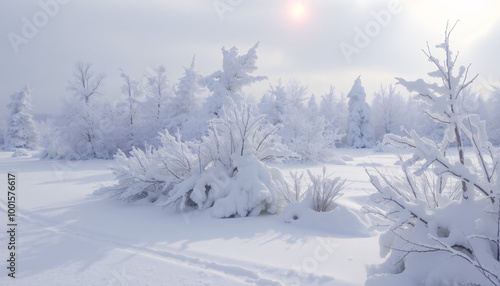 Ethereal Winter Wonderland: A Frosty Forest Landscape