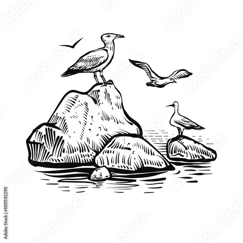 Vector sketch of sea landscape with seagulls flying and sitting on the rock.