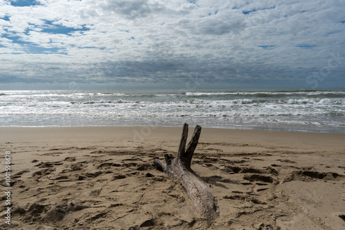 27.09.2024: Der Strand Plage du Piémanson Regionaler Naturpark Camargue, Provence-Alpes-Côte d’Azur, Frankreich photo