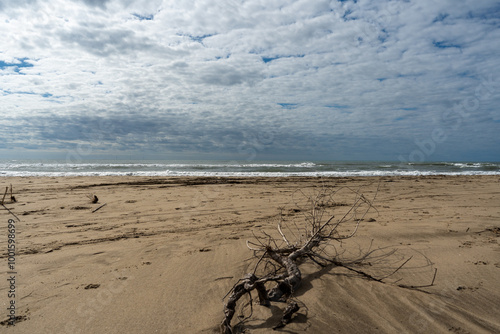 27.09.2024: Der Strand Plage du Piémanson Regionaler Naturpark Camargue, Provence-Alpes-Côte d’Azur, Frankreich photo